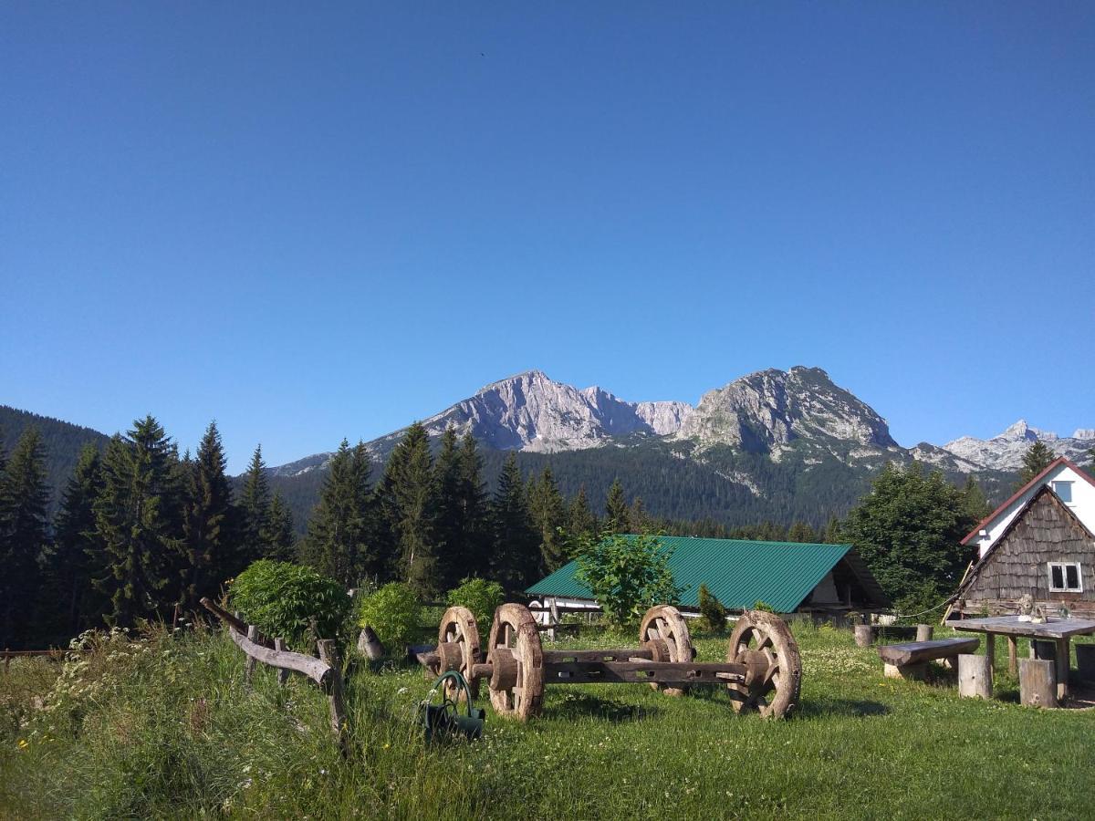 Rooms Apartment Durmitor Žabljak Exteriör bild