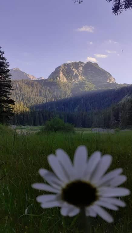 Rooms Apartment Durmitor Žabljak Exteriör bild