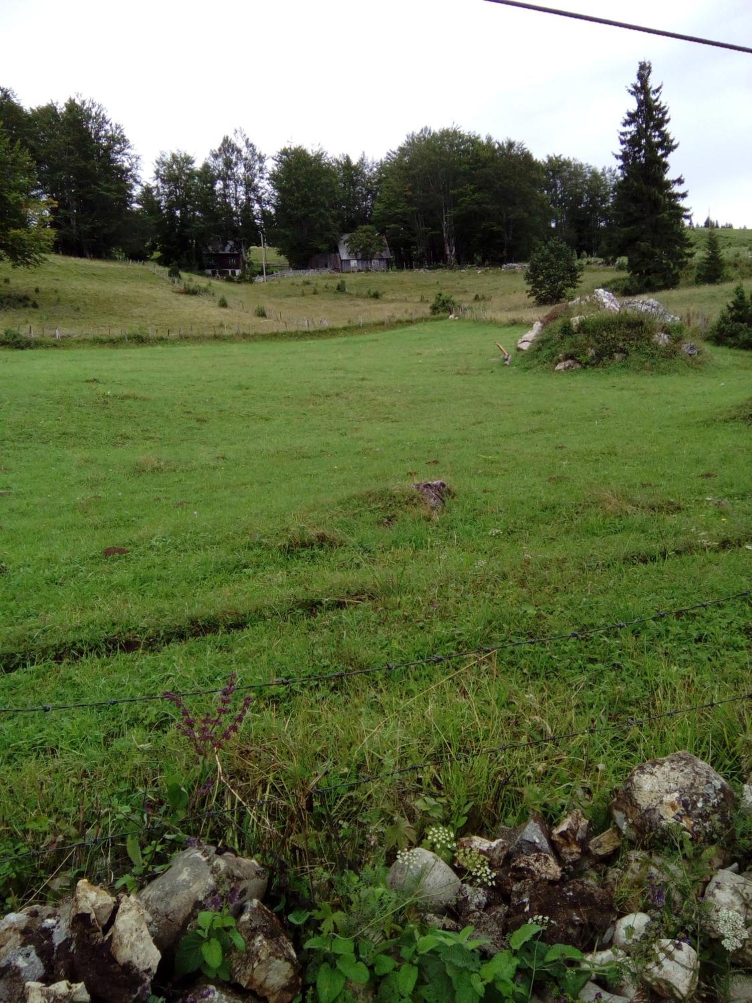 Rooms Apartment Durmitor Žabljak Exteriör bild