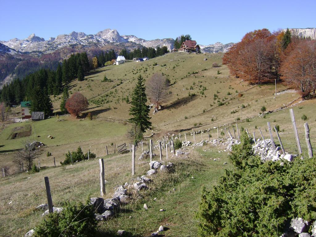 Rooms Apartment Durmitor Žabljak Exteriör bild