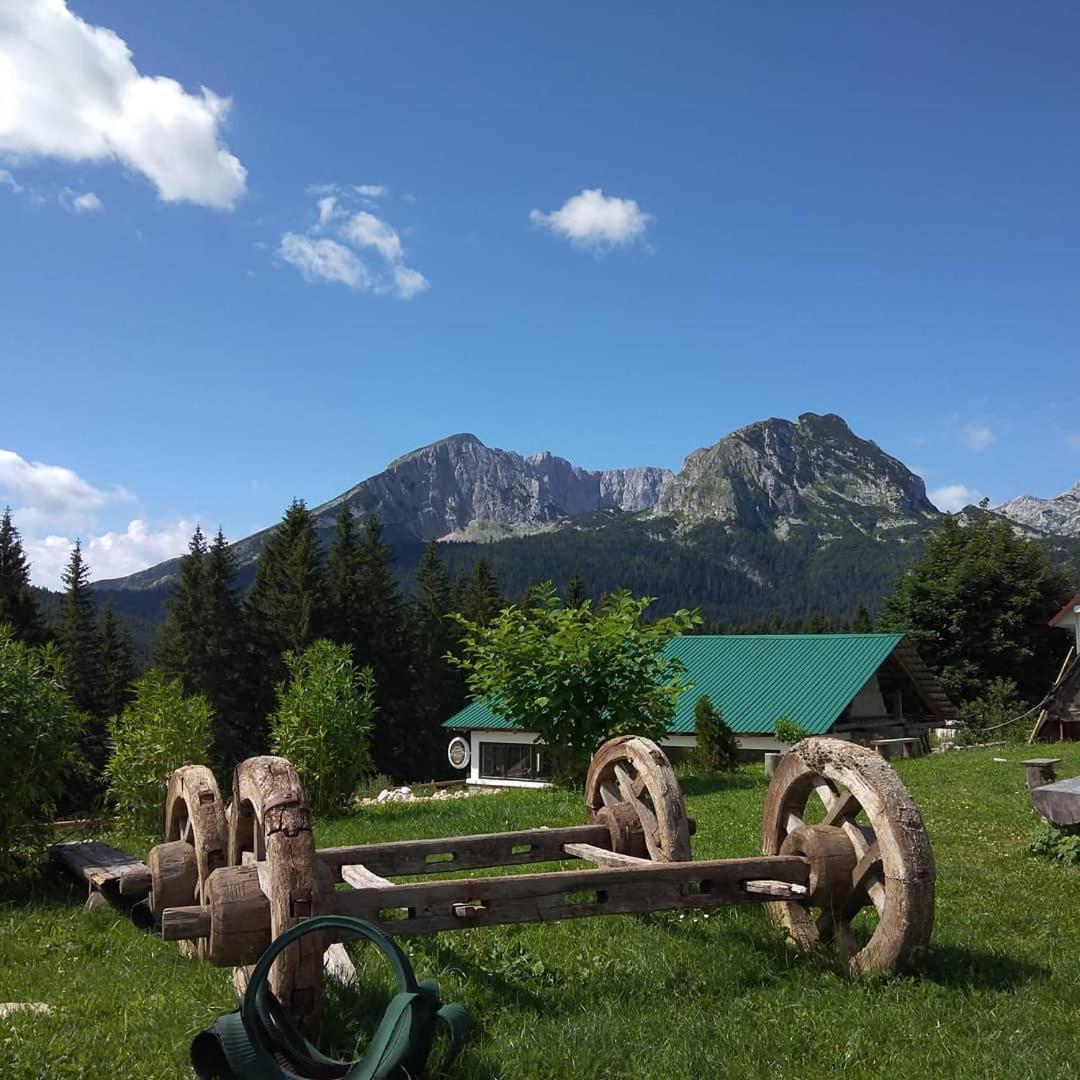 Rooms Apartment Durmitor Žabljak Rum bild